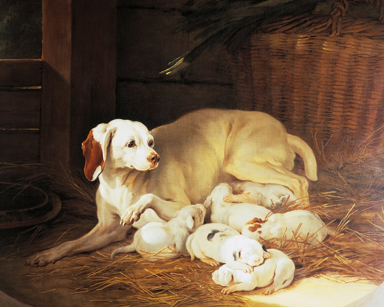 Bitch nursing puppies (detail) by Jean Baptiste Oudry