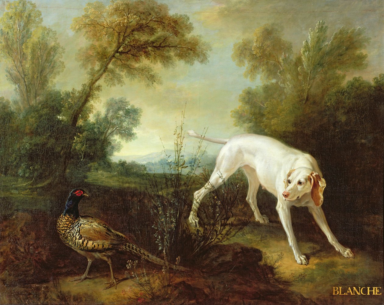 Blanche, Bitch of the Royal Hunting Pack by Jean Baptiste Oudry
