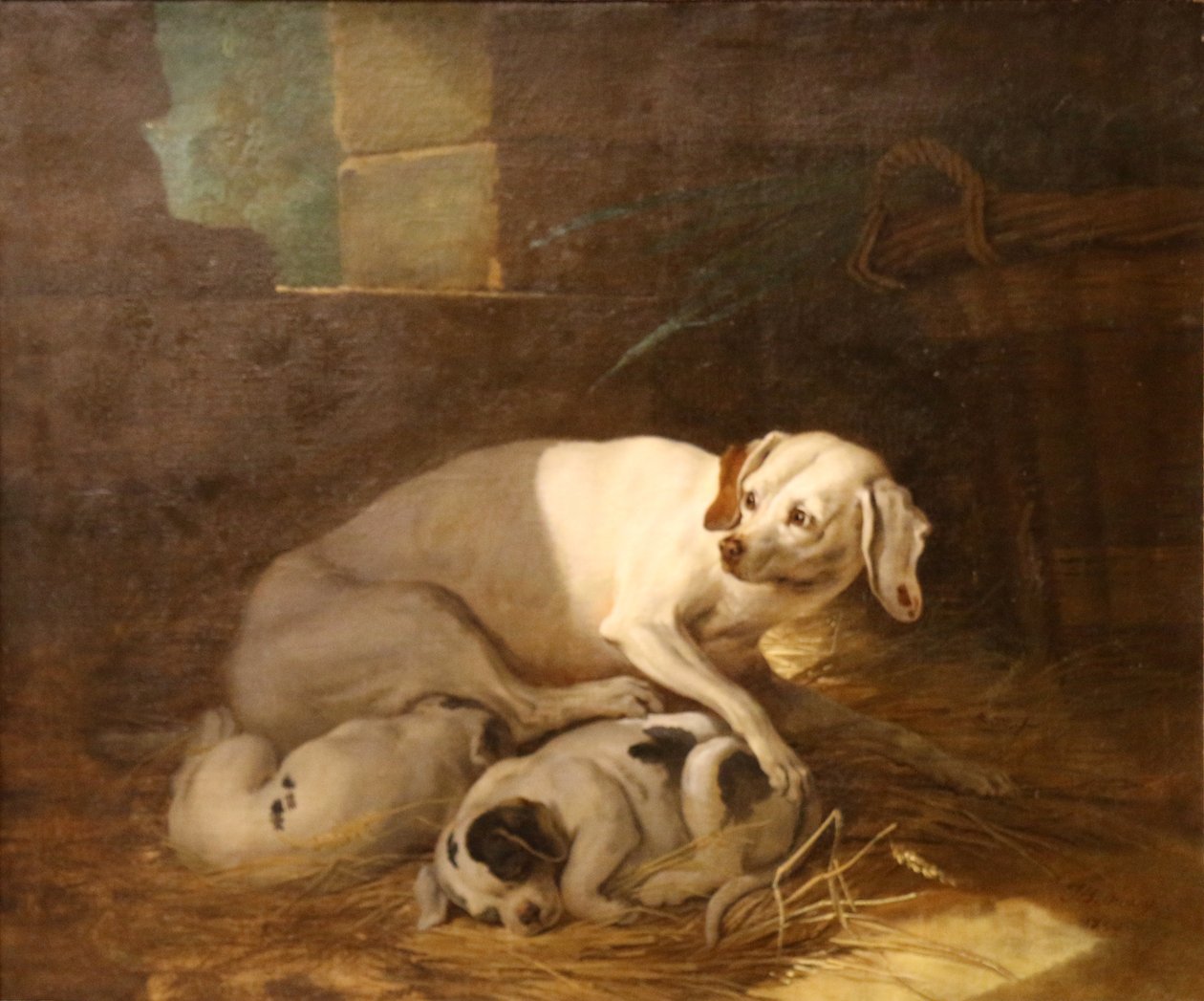 Bitch Nursing Her Puppies by Jean Baptiste Oudry