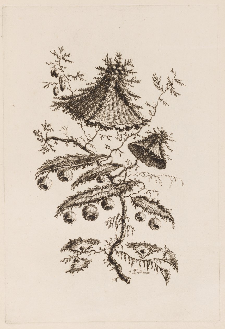 Flower Branch, from 