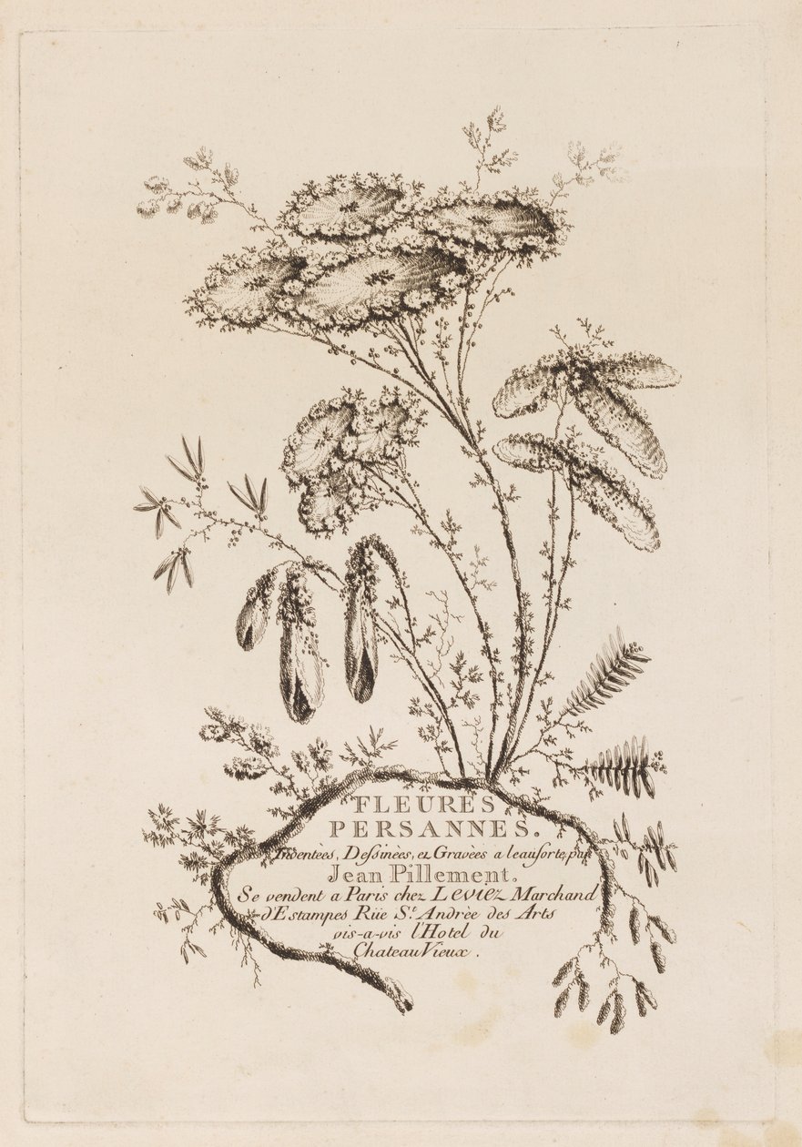 Title Page, from 