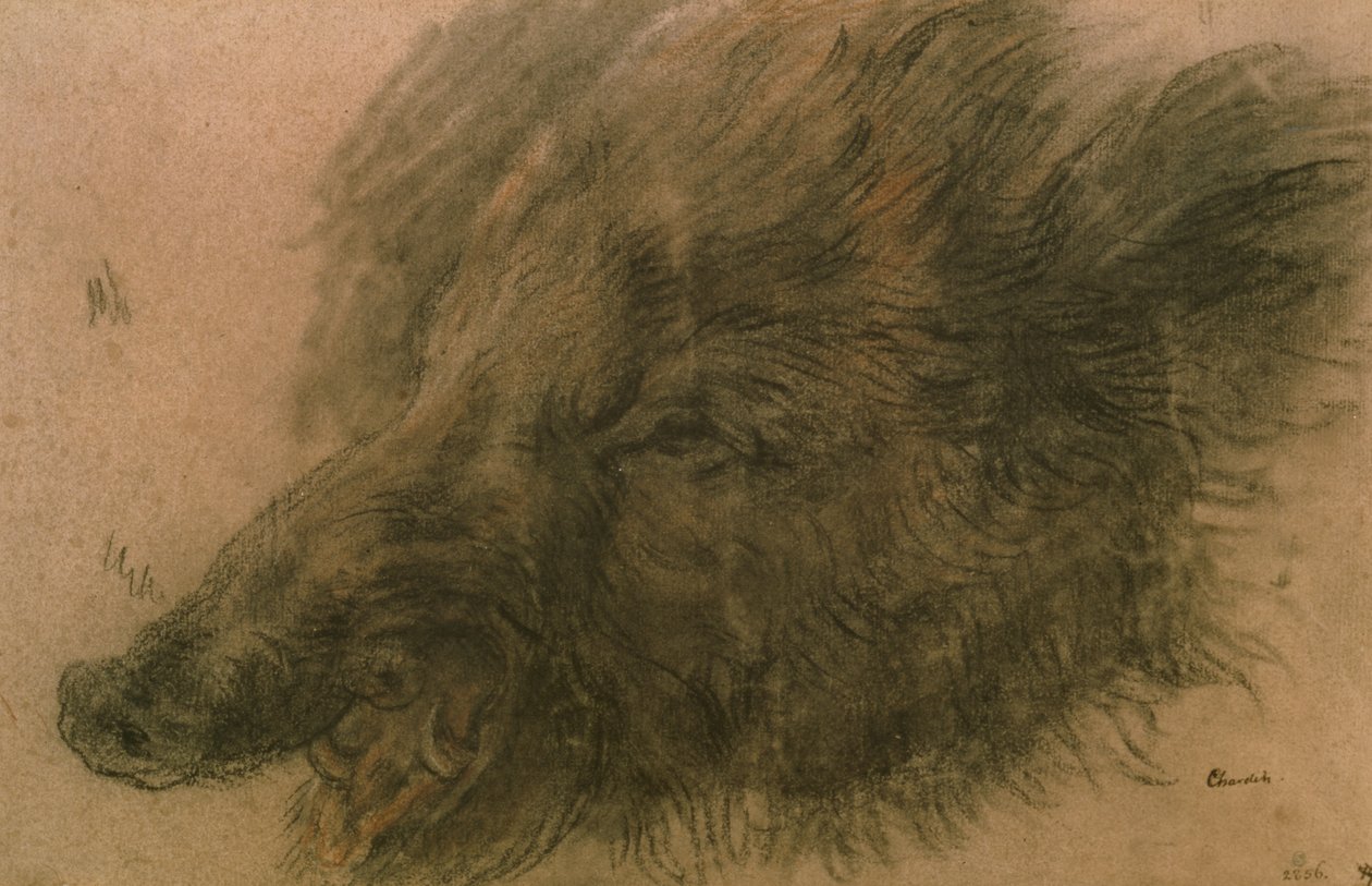 Head of a Wild Boar by Jean-Baptiste Simeon Chardin