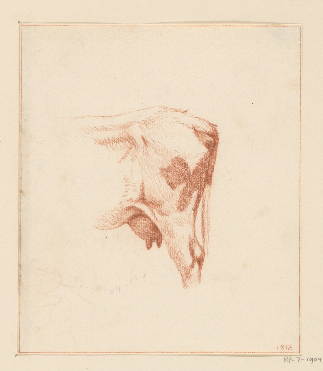 Hind Legs of a Cow by Jean Bernard