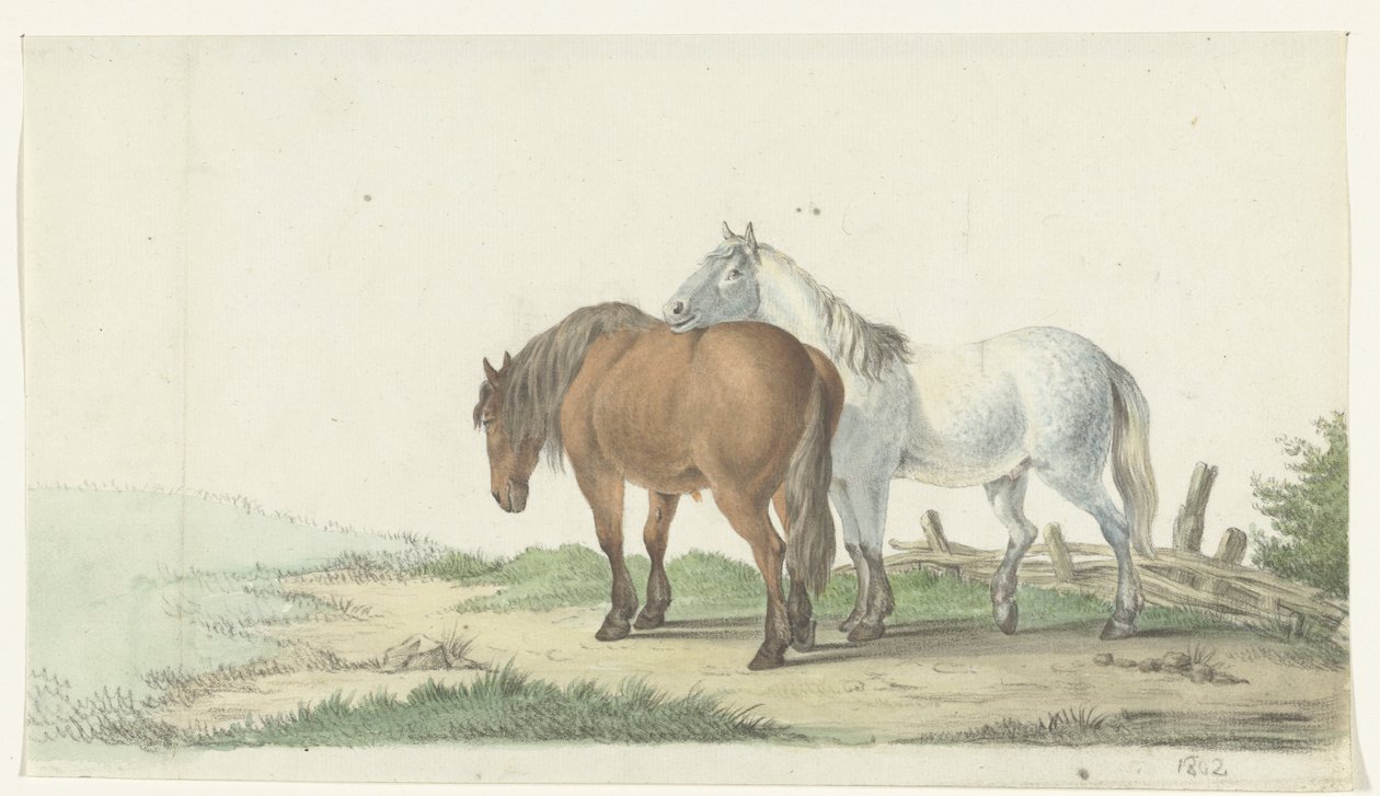 A Brown and White Horse on a Road Next to a Fence by Jean Bernard
