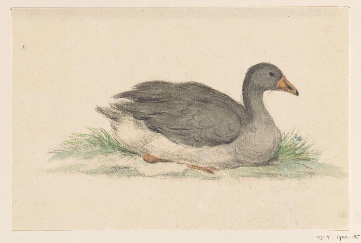 Duck, to the right by Jean Bernard