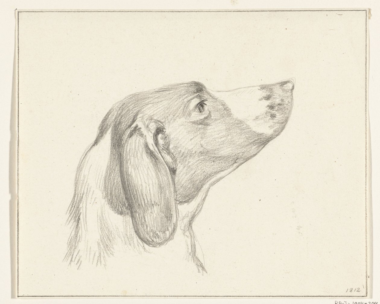 Head of a Dog, Facing Right by Jean Bernard