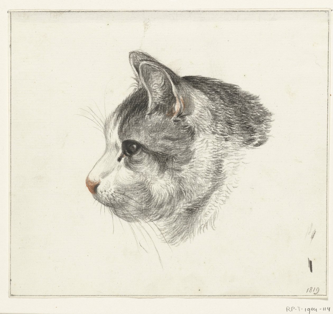 Head of a Cat, to the Left by Jean Bernard