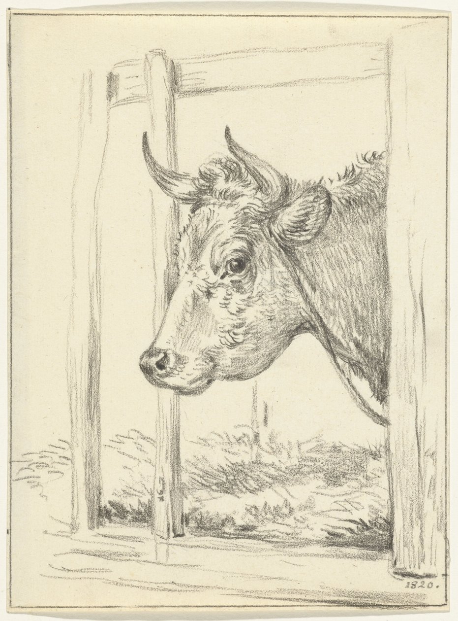 Head of a Cow in a Stable, Facing Left by Jean Bernard