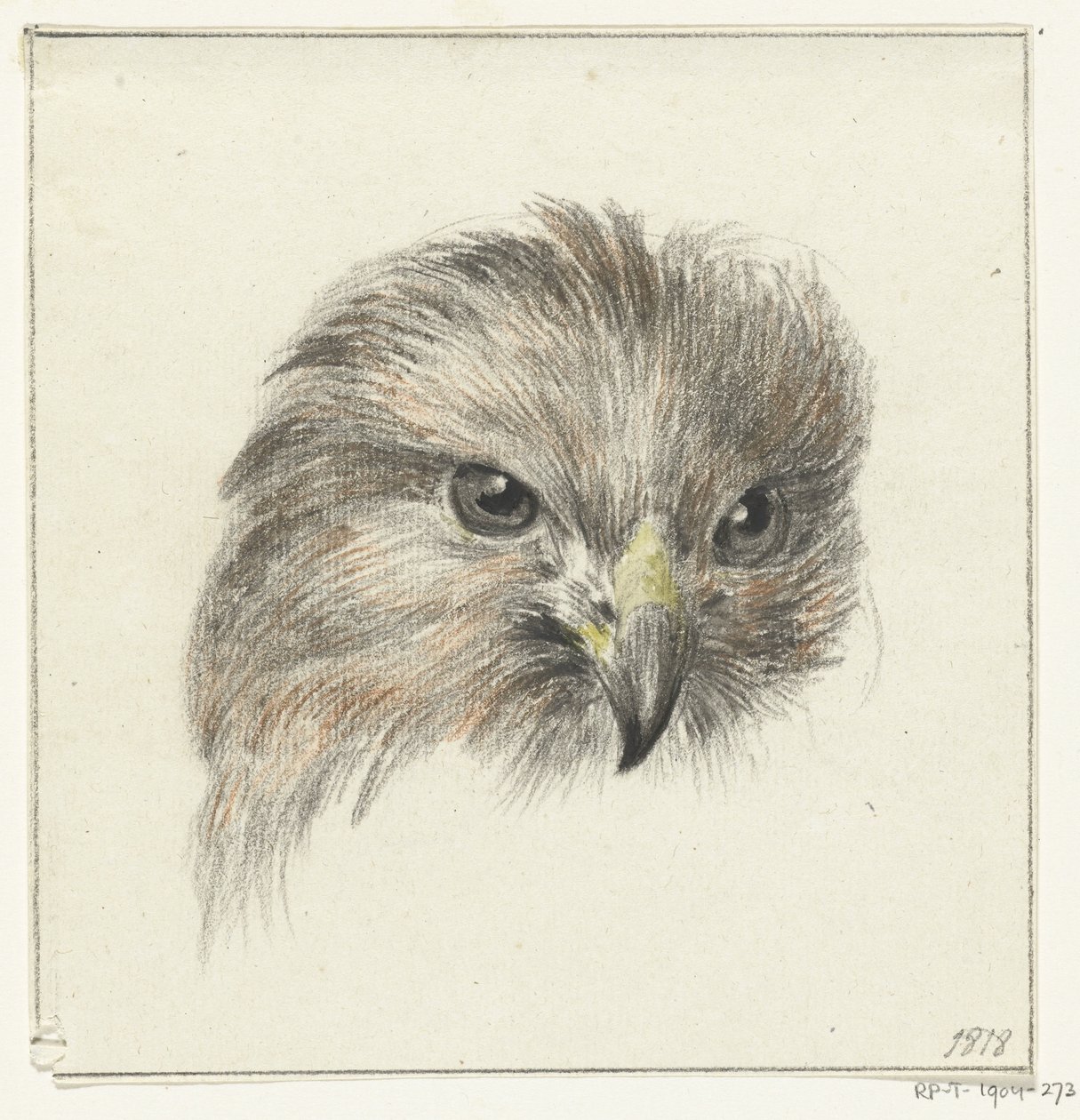 Head of a Bird of Prey by Jean Bernard