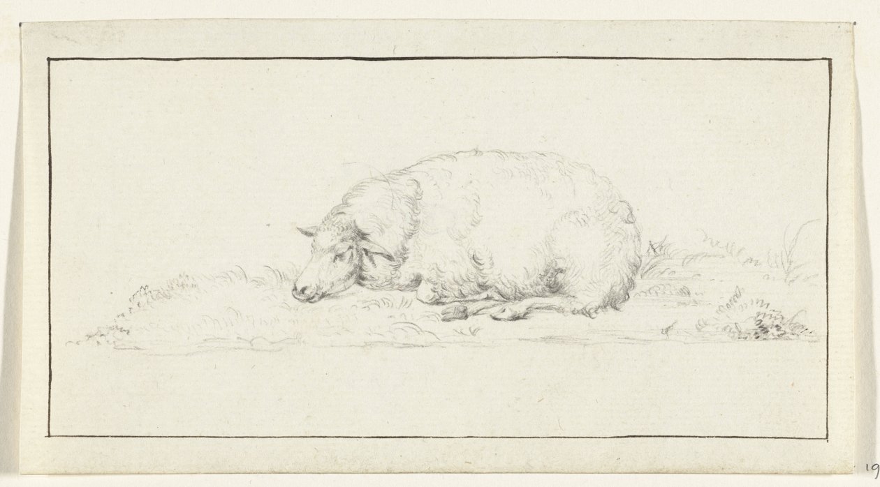 Lying sheep, to the left by Jean Bernard