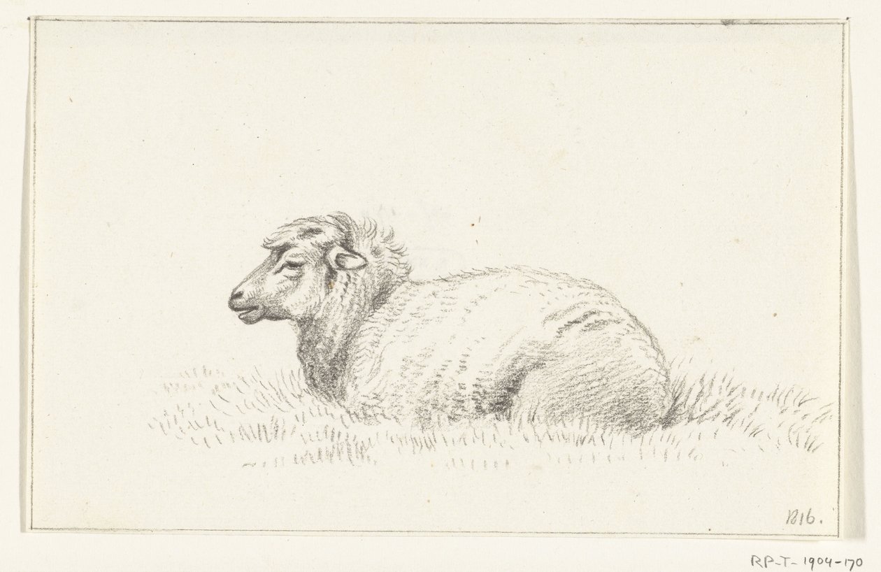 Lying Sheep, Facing Left by Jean Bernard