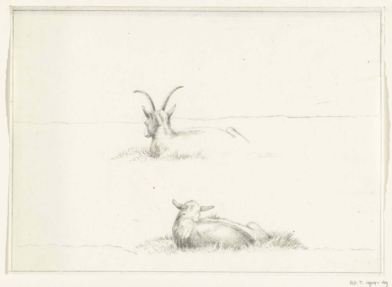 Sketches of a lying goat and a sheep, from behind by Jean Bernard