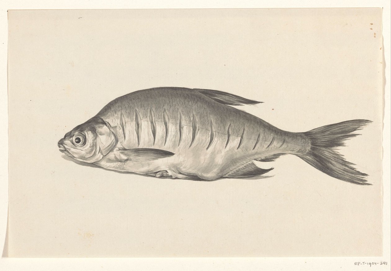 Fish, Lying to the Left, with Notches by Jean Bernard