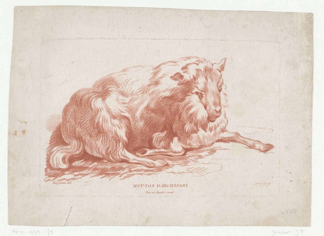 Lying Sheep by Jean-Francois Janinet