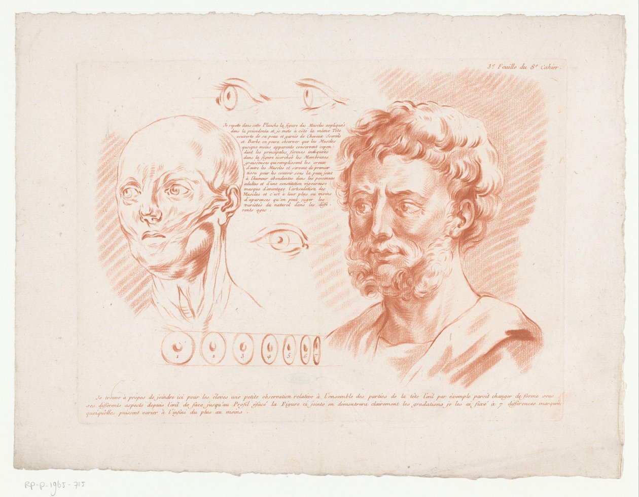 Two Male Heads and Eyes from Different Angles by Jean-Francois Janinet