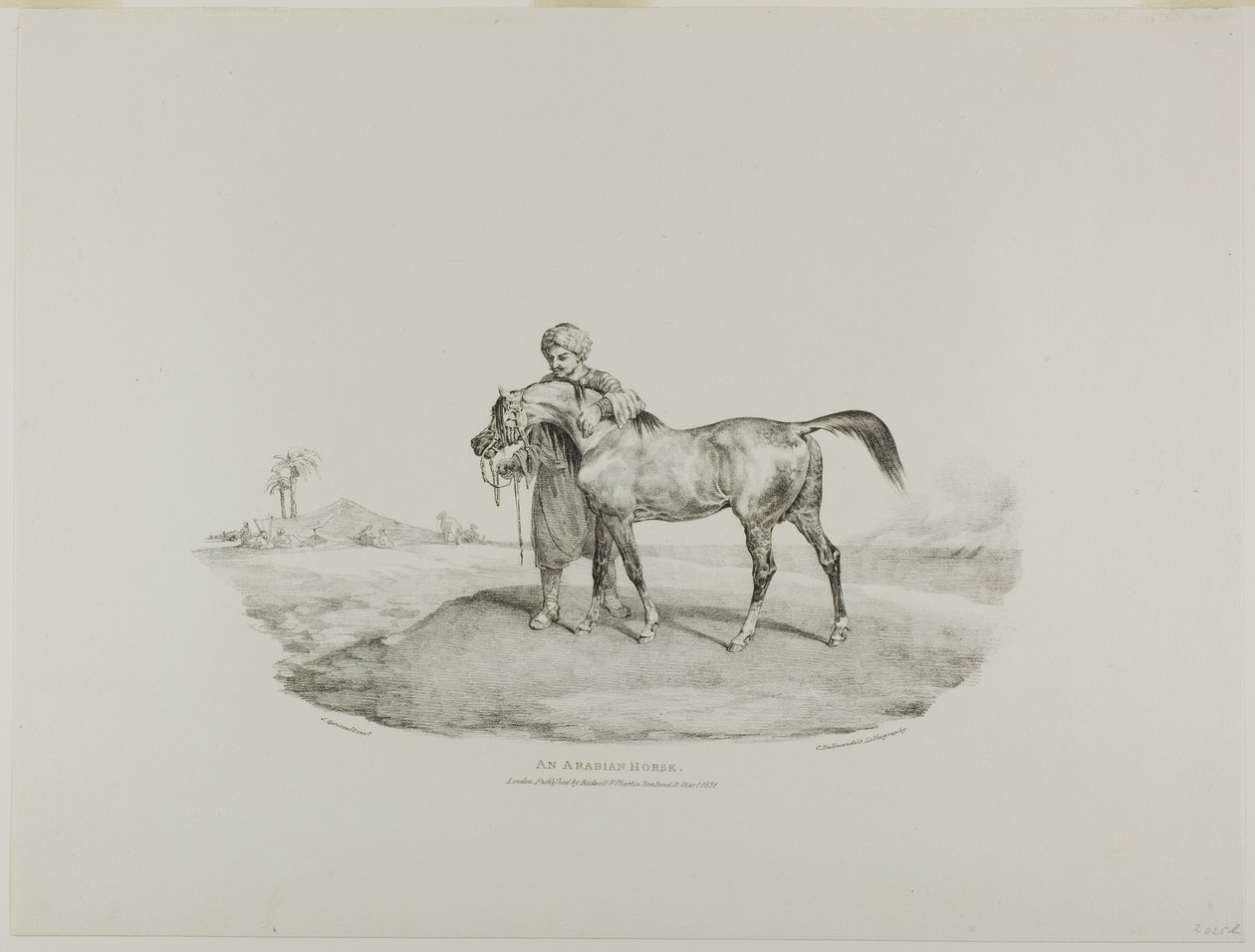 An Arabian Horse, plate 8 from Various Subjects Drawn from Life and on Stone (The English Suite) by Jean Louis André Théodore Géricault