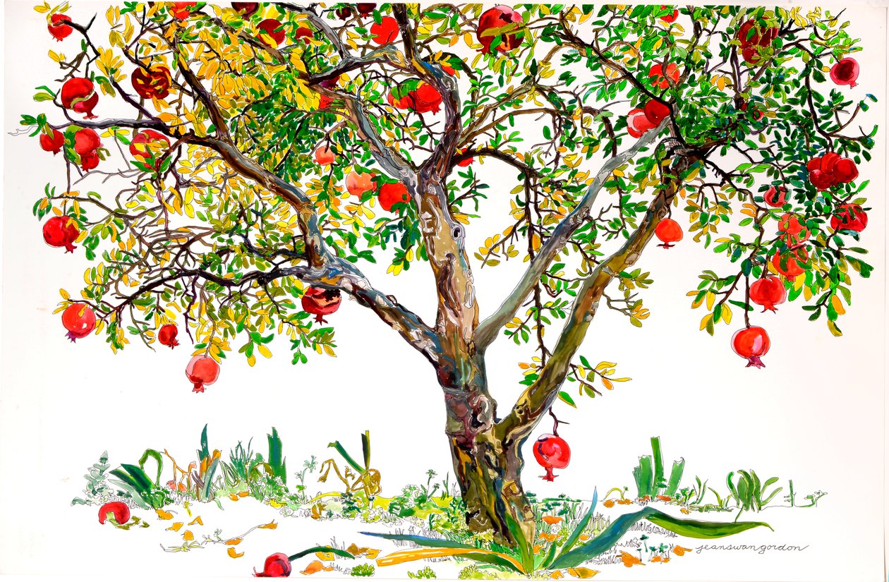 Pomegranate Tree, Monte Sereno by Jean Swan Gordon