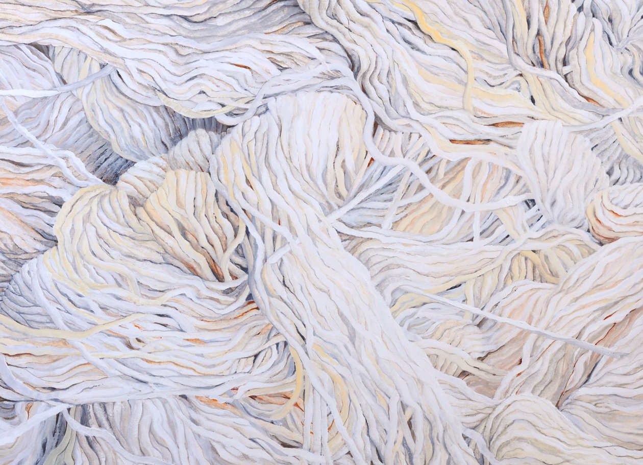 Wool White, 2013 by Jeanne Maze