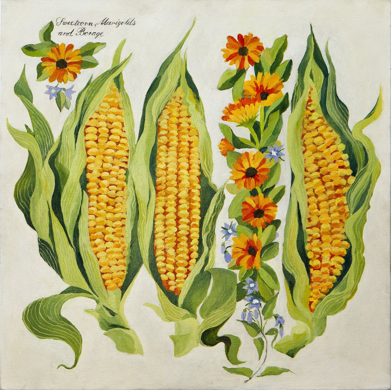 Corn and marrow flowers, 2014 by Jennifer Abbott
