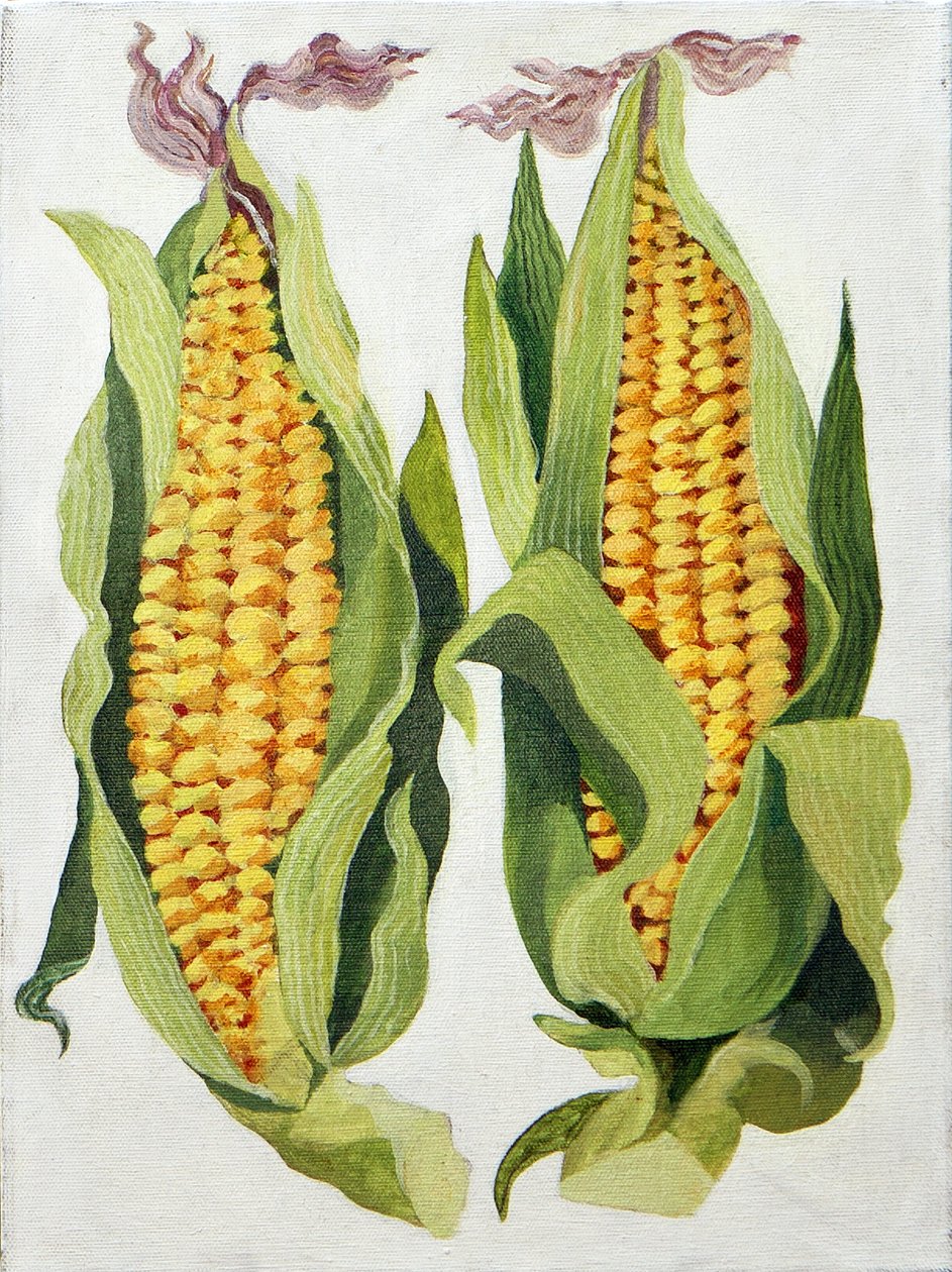 Sweetcorn, 2013 by Jennifer Abbott