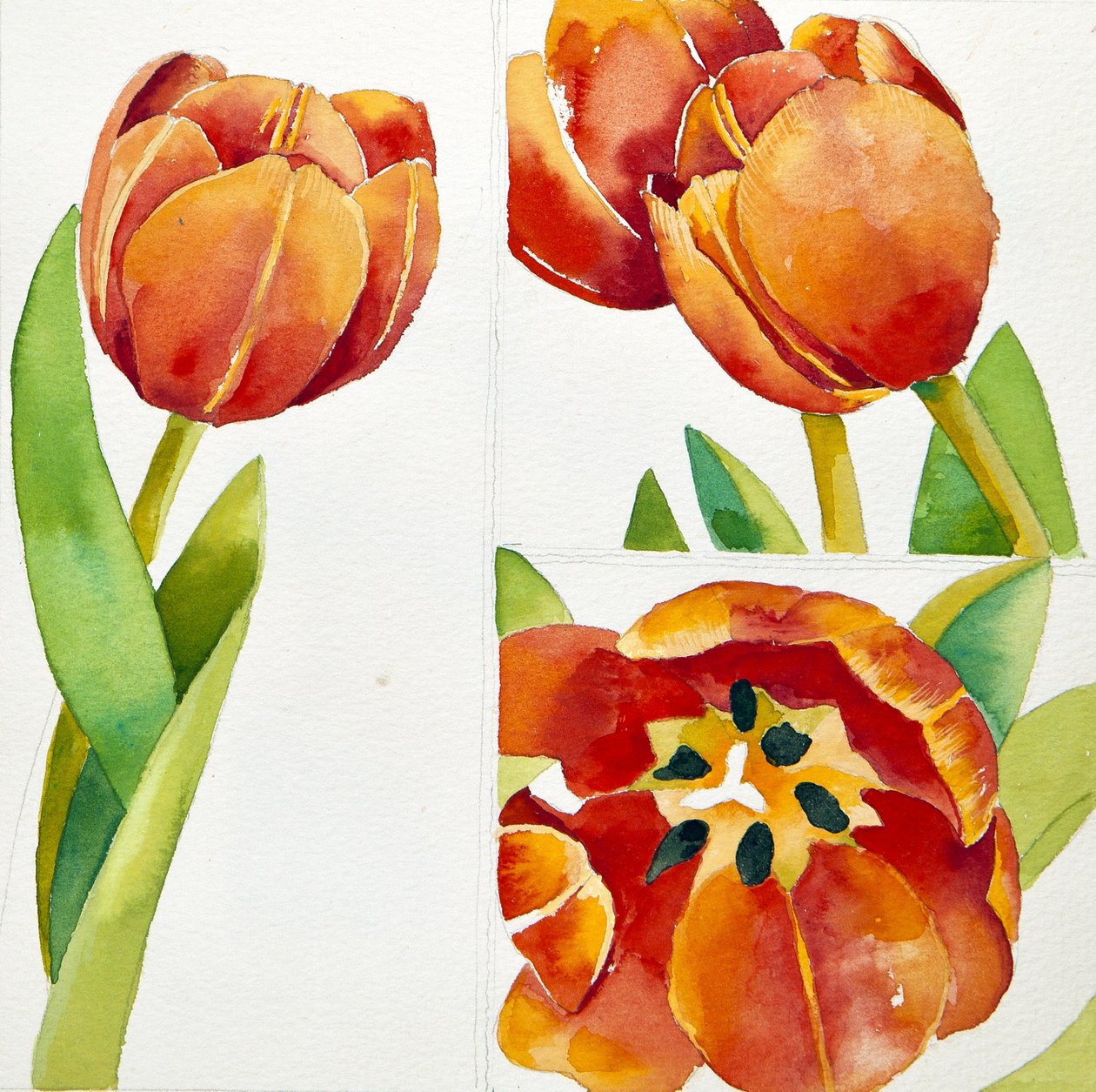 Three tulip studies in a sure, 2013 by Jennifer Abbott