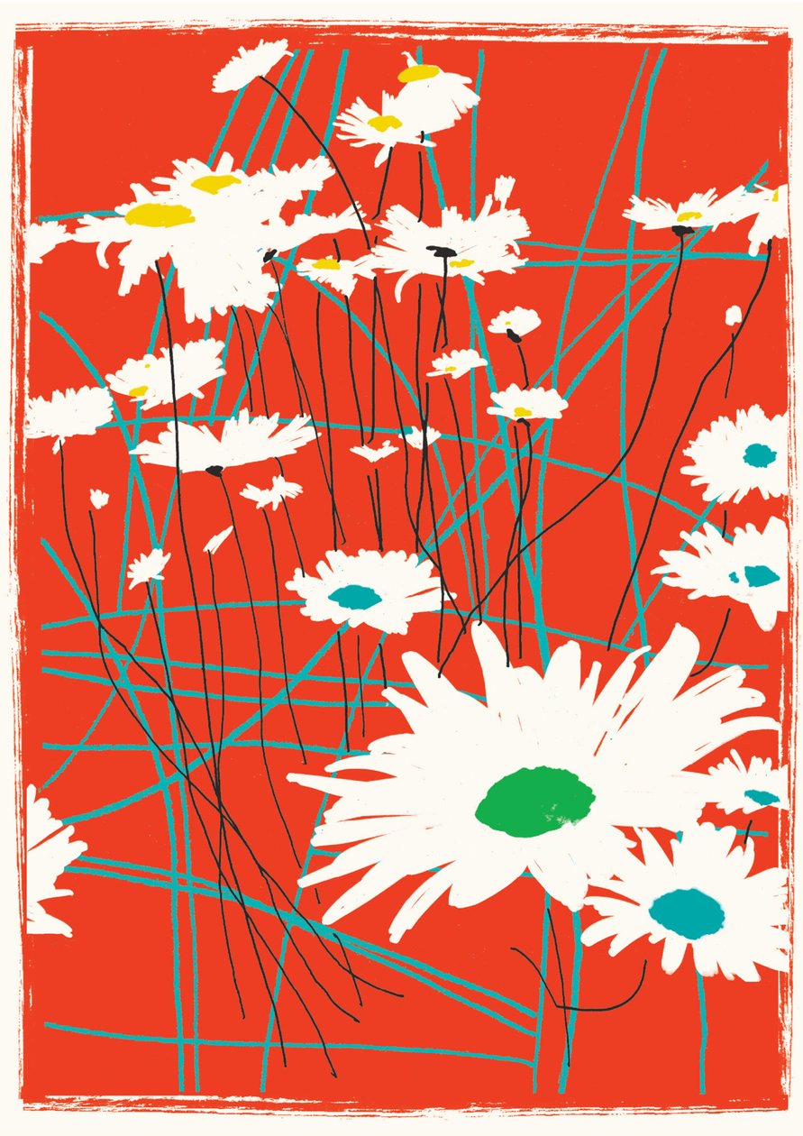 Daisy Chain by Jenny Frean