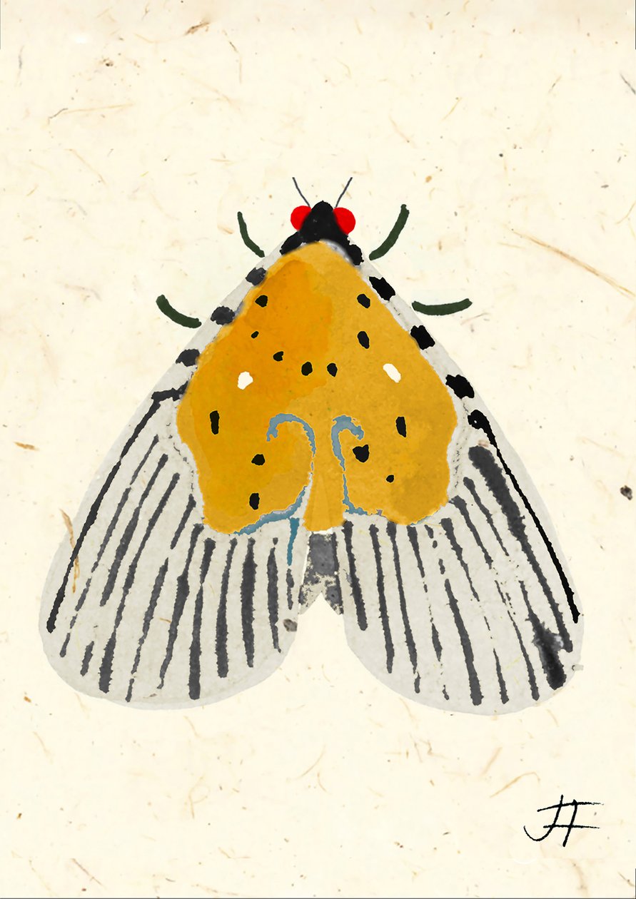Yellow Moth, 2024 by Jenny Frean
