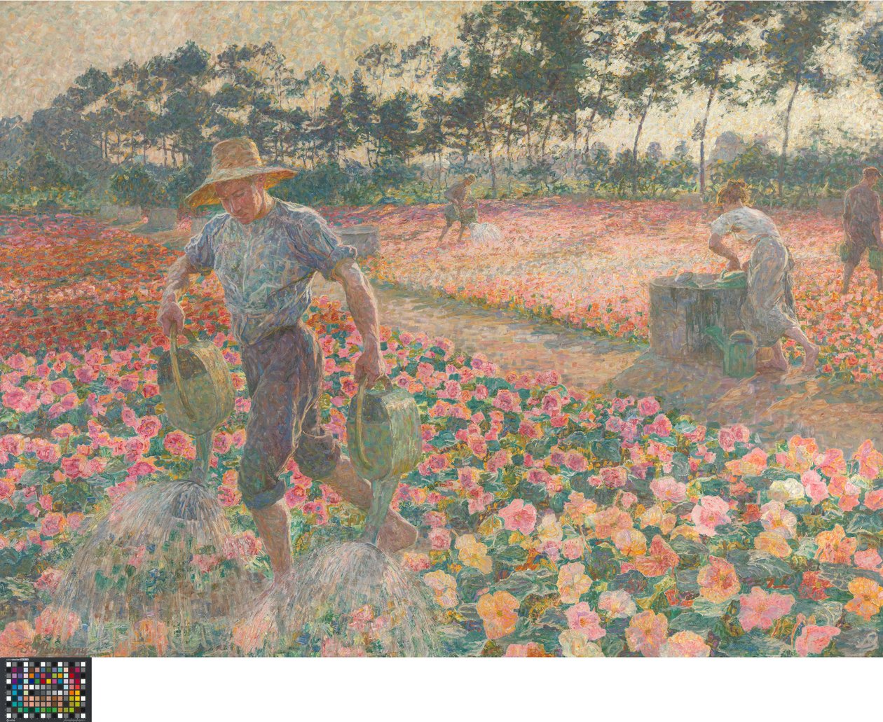 The Begonias (The Gardener) by Jenny Montigny