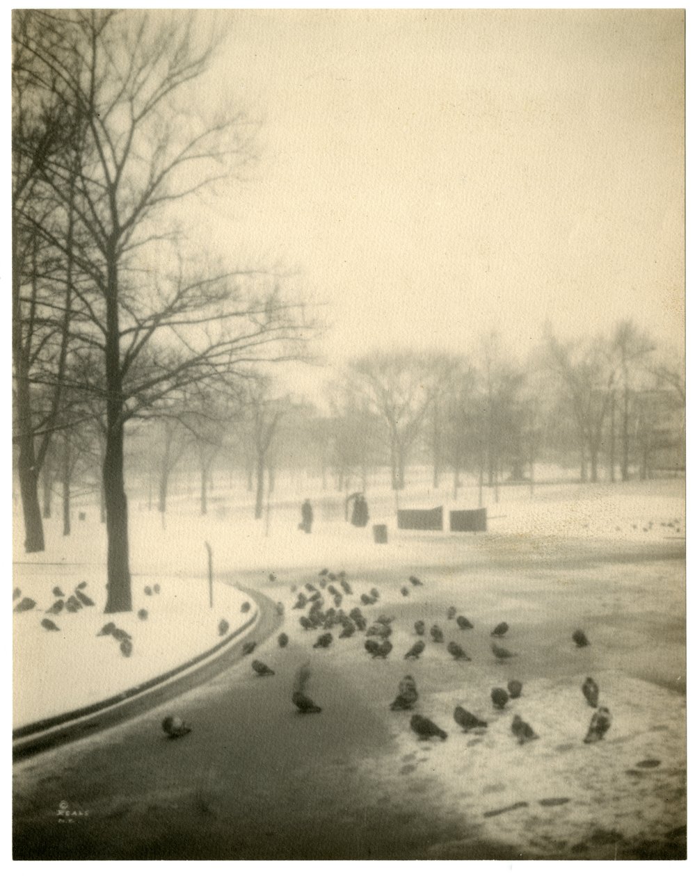 Boston Common, Boston, USA, c.1902-10 by Jessie Tarbox Beals
