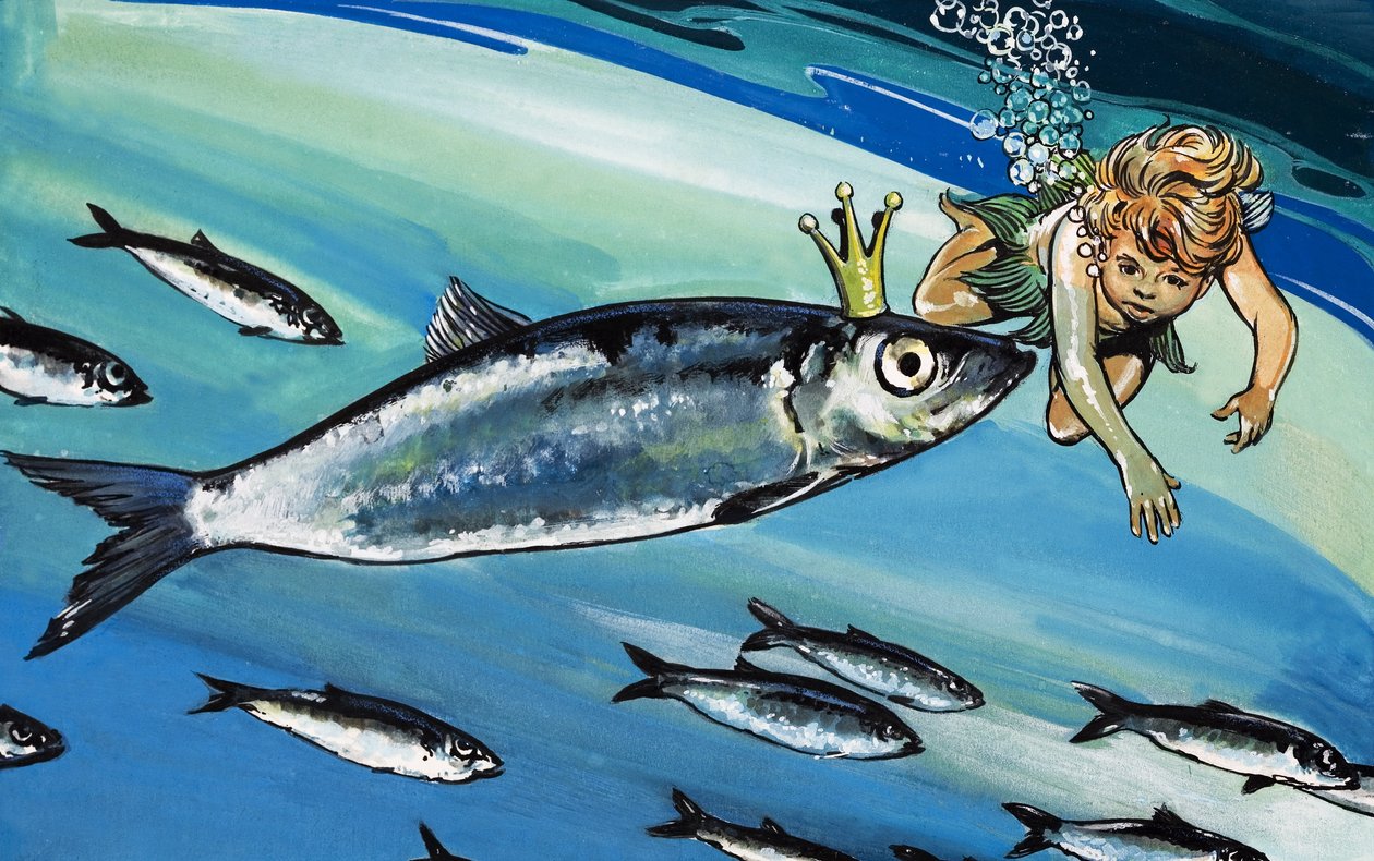 Boy swimming with a fish, illustration from 