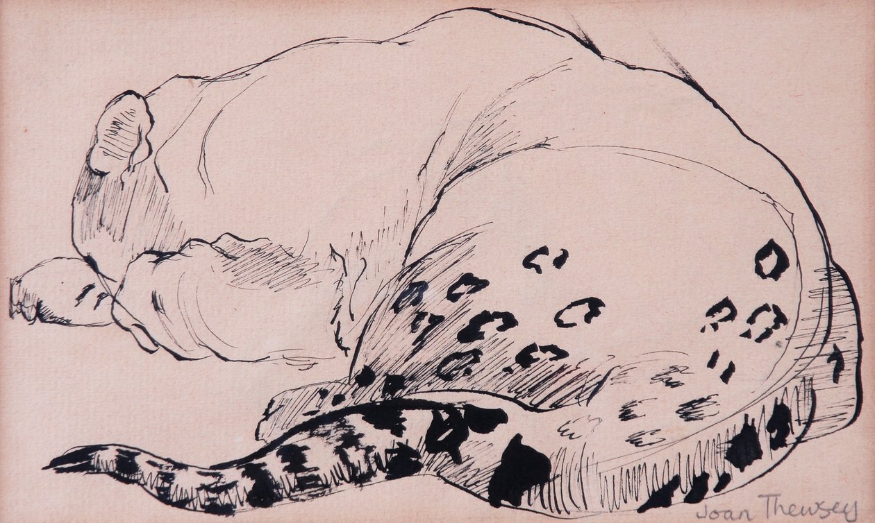 Sketch, Leopard, London Zoo 2005 by Joan Thewsey
