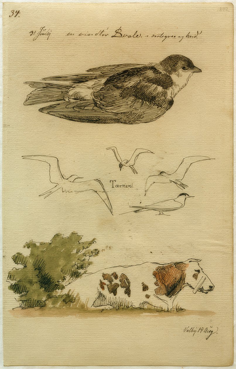 J. Th. Lundbye, Swallow, Terns, Lying Cow by Johan Thomas Lundbye