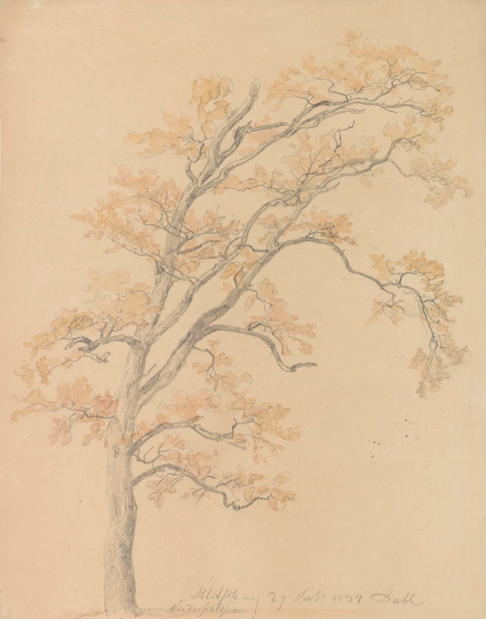 Oak Trees with Autumn Leaves, Milicz by Johan Christian Dahl