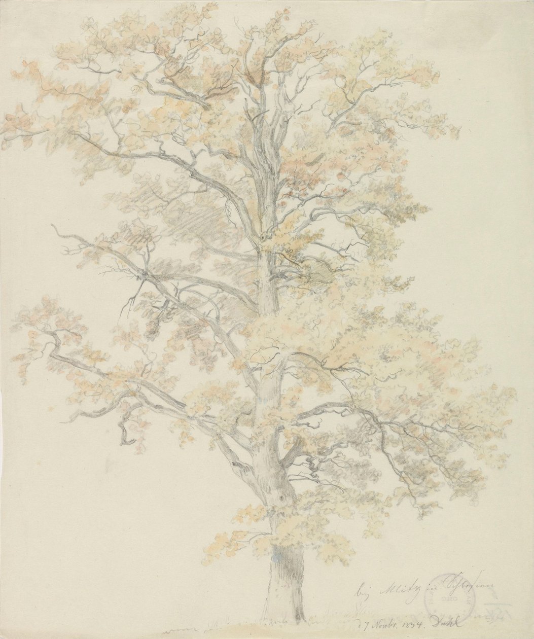 Oak trees with autumn leaves, Milicz by Johan Christian Dahl