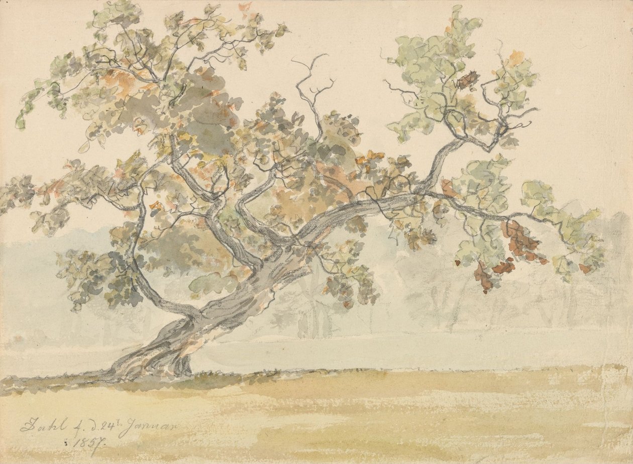 Old Oak by Johan Christian Dahl