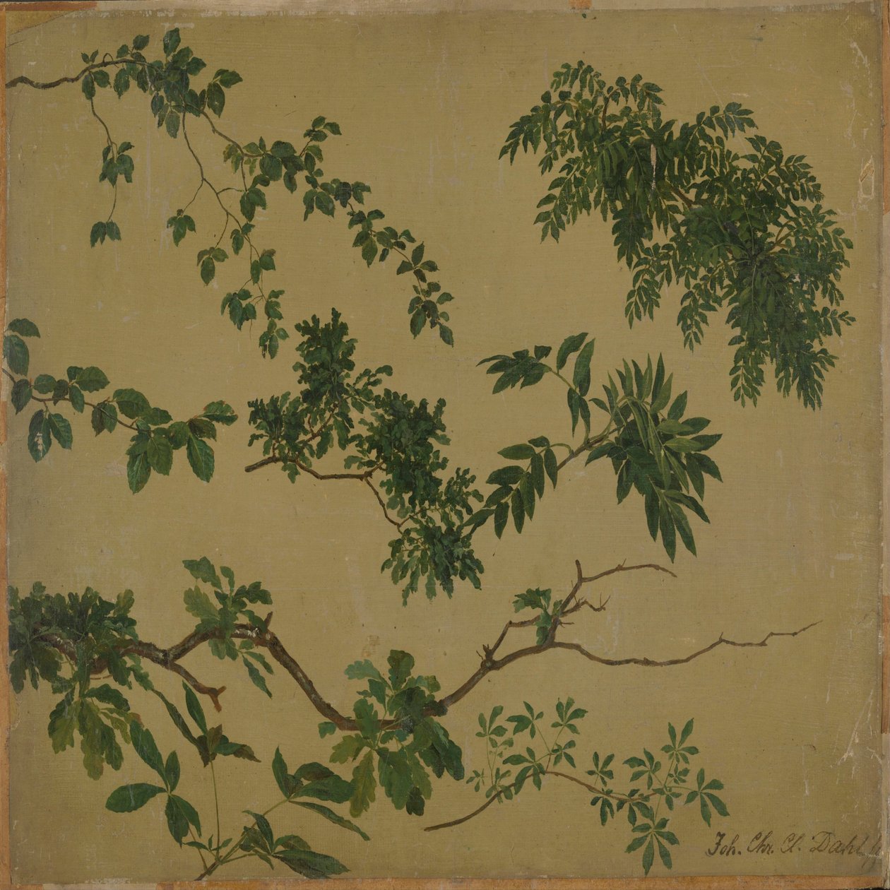 Study of Twigs and Leaves by Johan Christian Dahl
