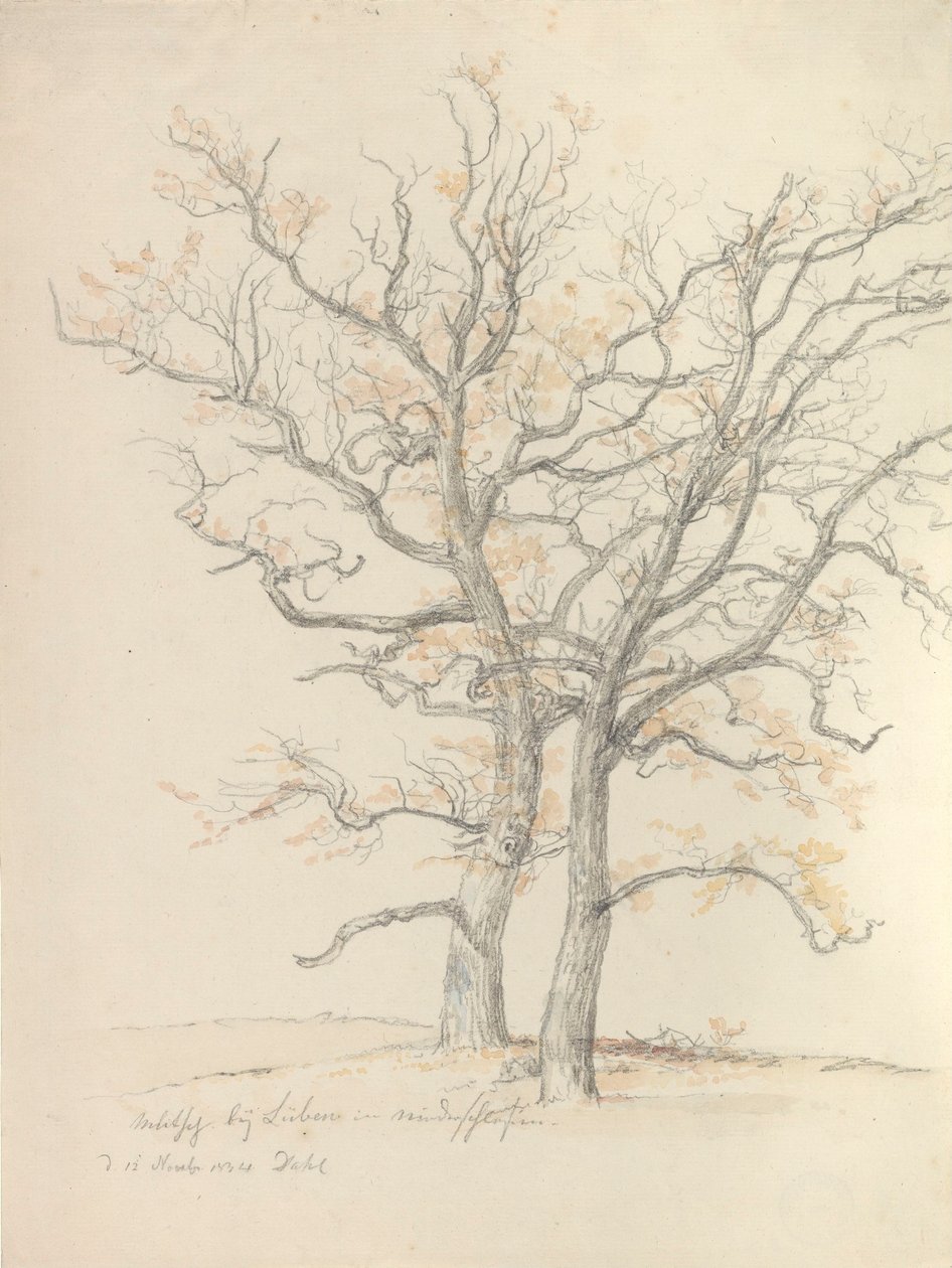 Two oaks by Johan Christian Dahl
