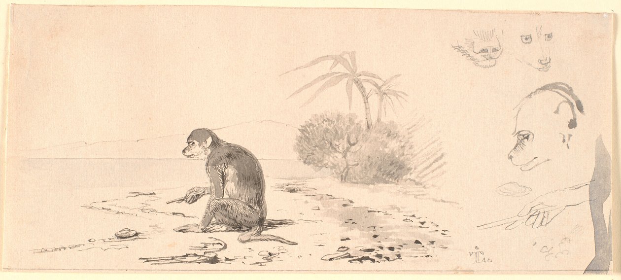 The Monkey. Studies of Monkey Heads, etc. by Johan Thomas Lundbye