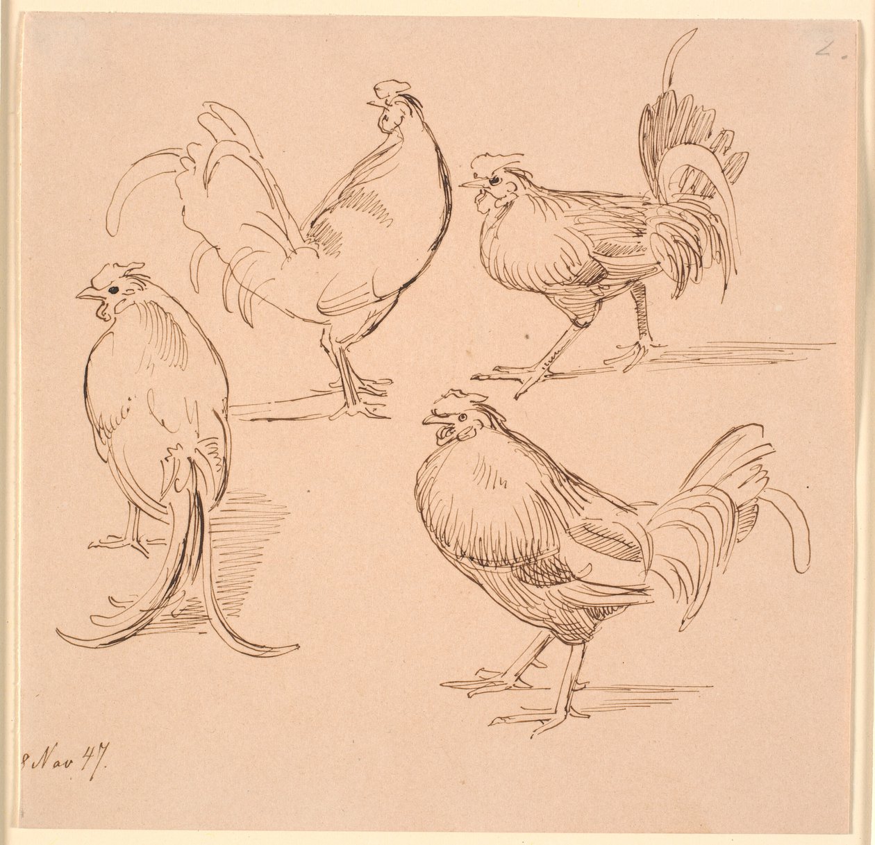 Four Studies of Roosters by Johan Thomas Lundbye