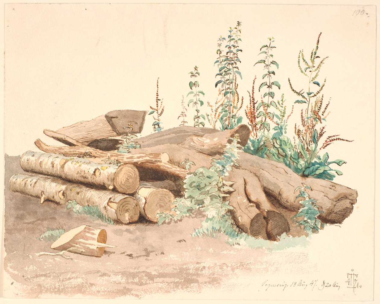 Some Felled Tree Trunks, a Water Trough, and Various Plant Growths by Johan Thomas Lundbye