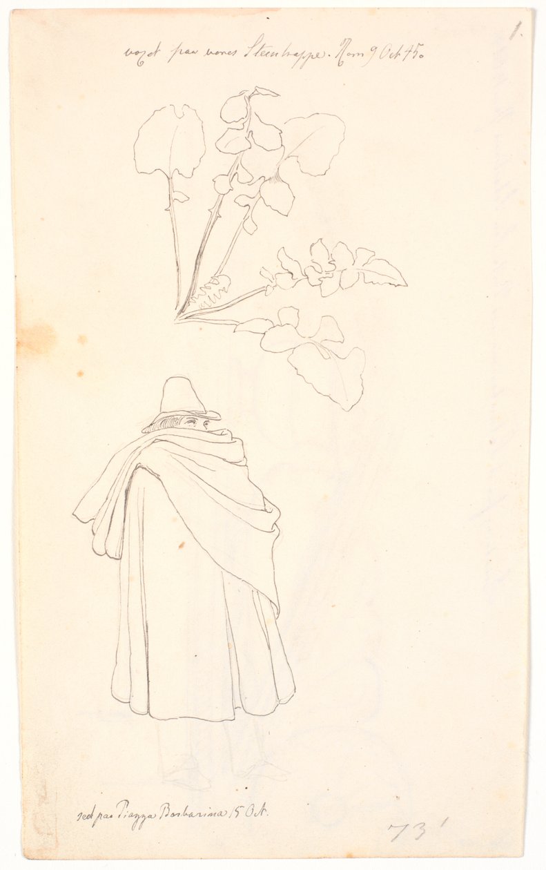 Study of a Dandelion Plant and Italian Wrapped in His Cloak by Johan Thomas Lundbye