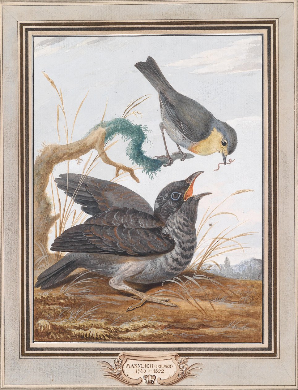 A Cuckoo Being Fed by a Robin by Johann Christian von Mannlich