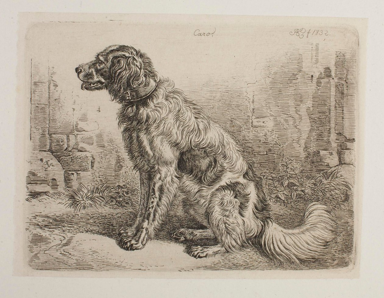 Untitled by Johann Adam Klein