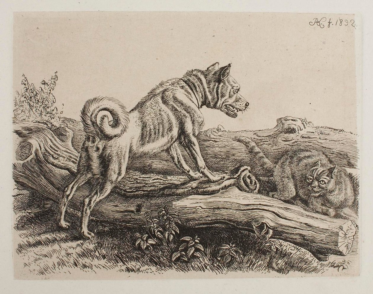 [Not Yet Titled EN] by Johann Adam Klein