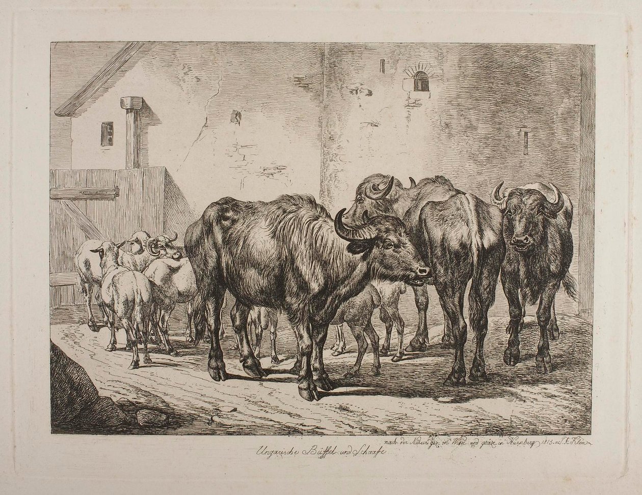 Hungarian Buffaloes and Sheep by Johann Adam Klein