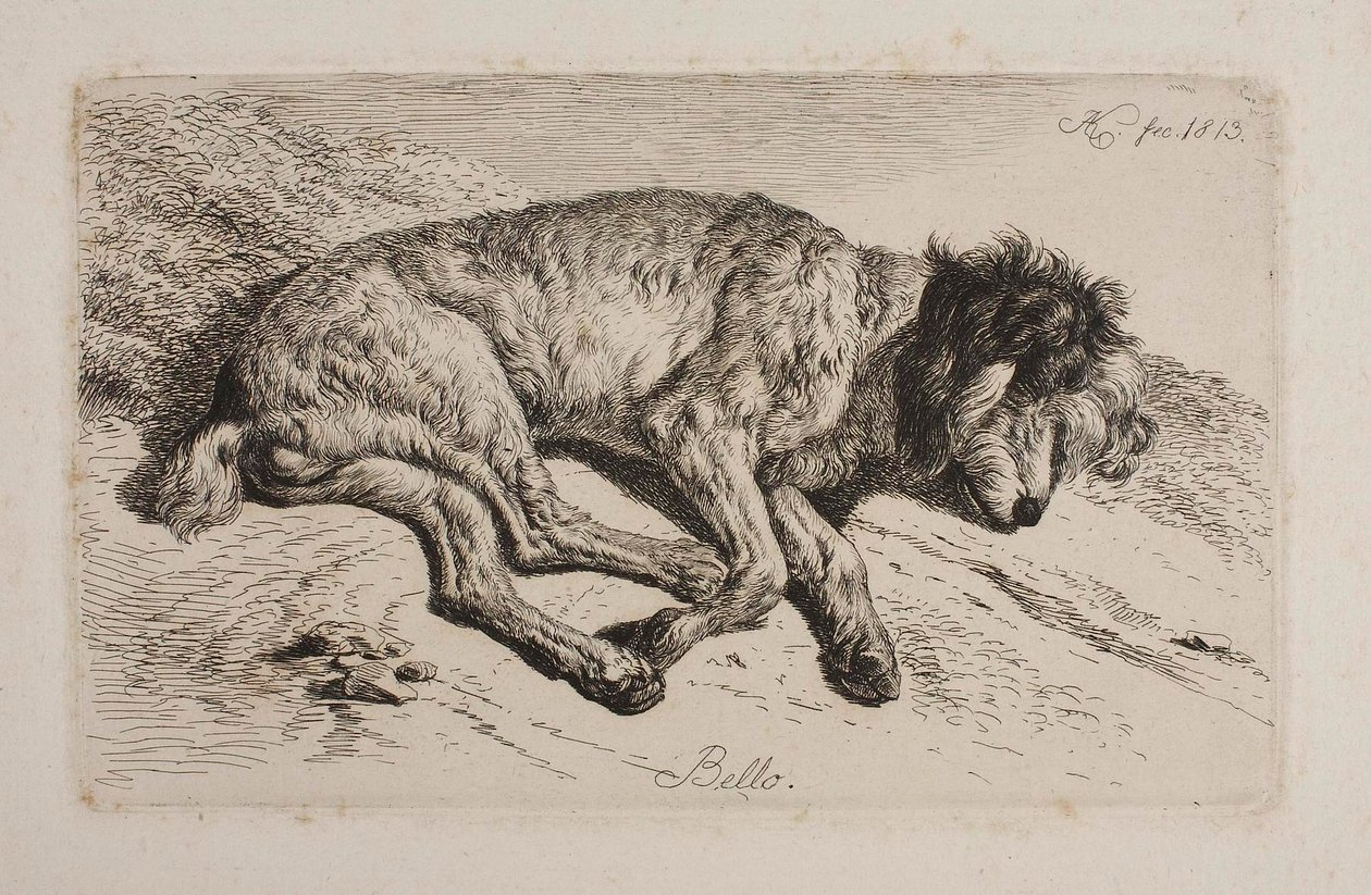 Sleeping Dog, Bello by Johann Adam Klein