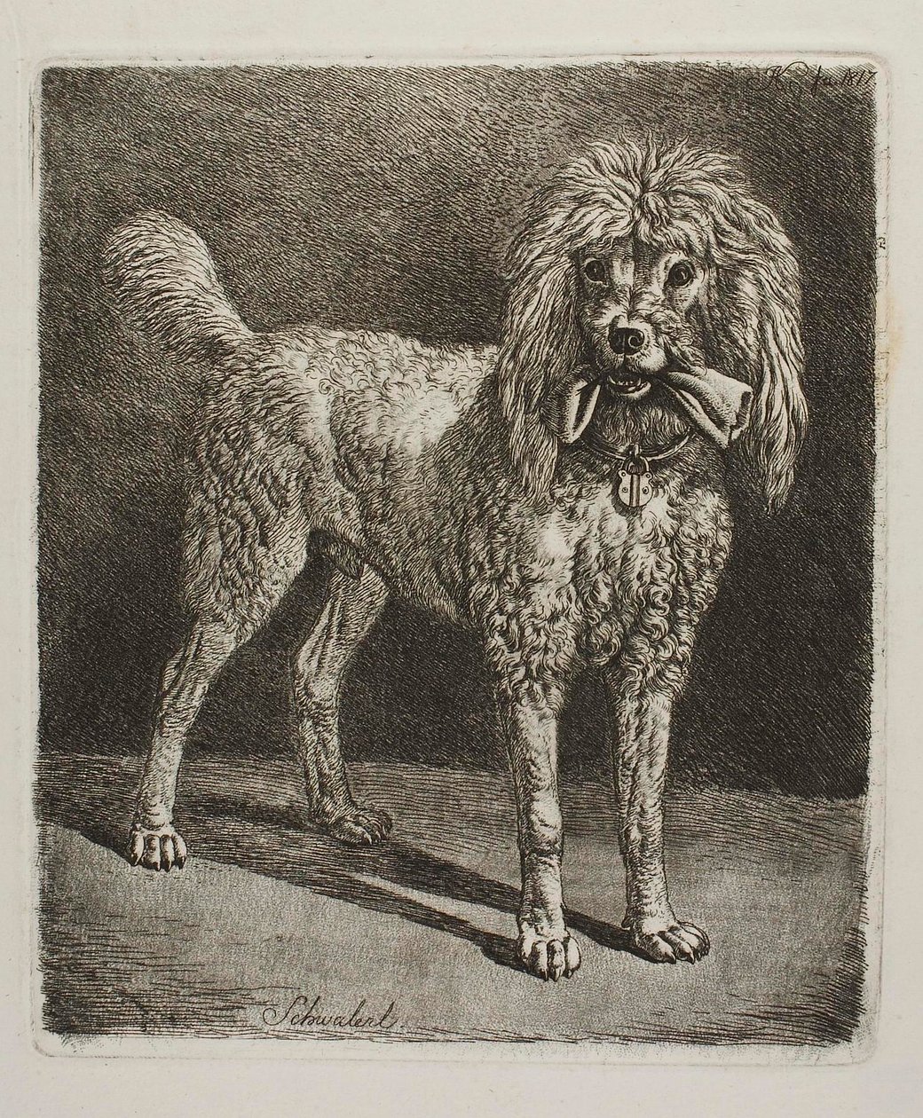 The Poodle Schwalerl by Johann Adam Klein