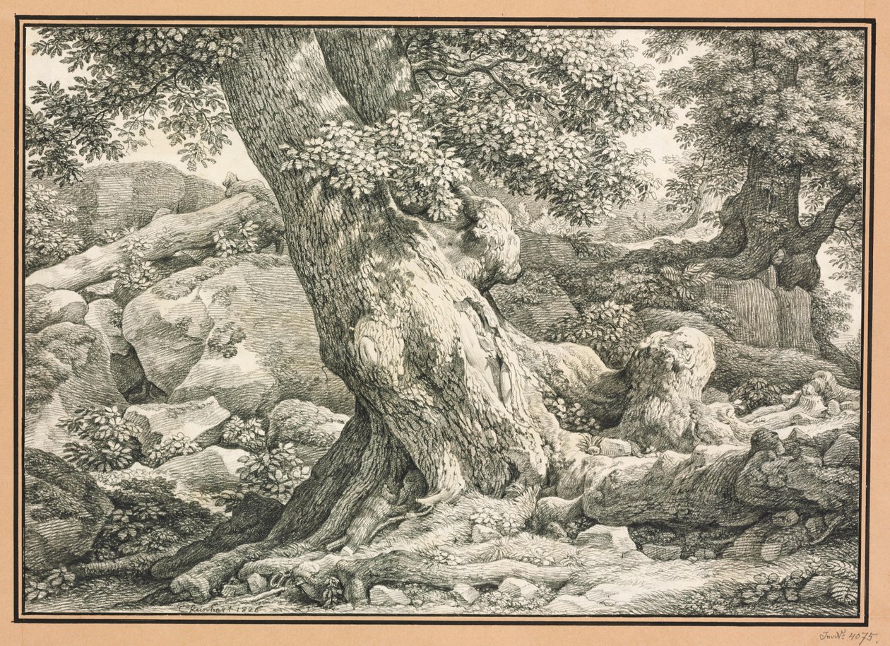Tree Study on Rocky Terrain by Johann Christian Reinhart