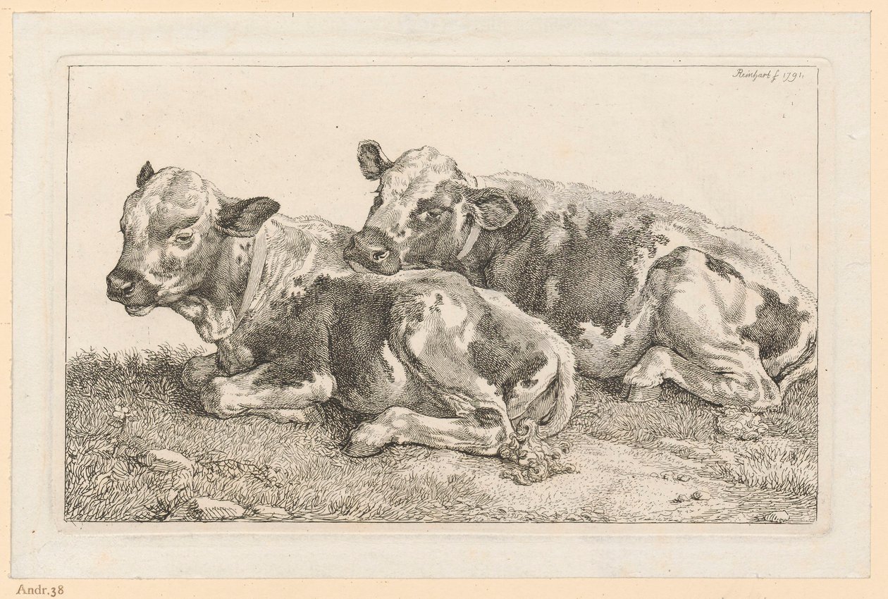 Two Calves by Johann Christian Reinhart