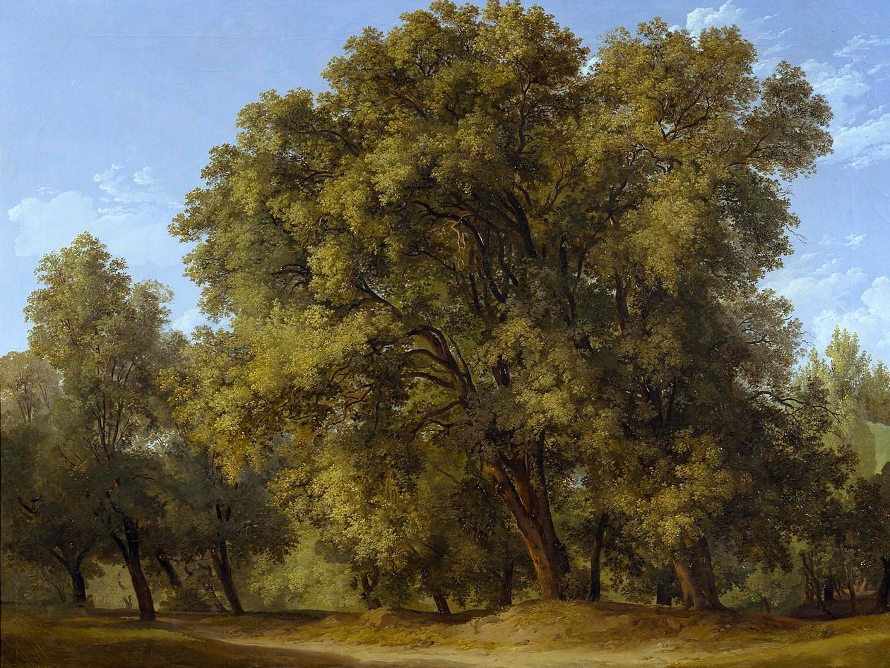 Forest Scene by Johann Christian Reinhart